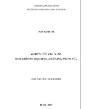 Luận văn Thạc sĩ Khoa học: Nghiên cứu khả năng sinh khí sinh học biogas của phụ phẩm dứa