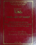 Khóa luận tốt nghiệp: Quan hệ thương mại hàng hóa Việt Nam - Trung Quốc qua biên giới trên bộ thực trạng và giải pháp phát triển