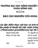 BÁO CÁO NGHIÊN CỨU KHOA HỌC - Đề tài: Nghiên cứu đặc điểm thực vật học và ảnh hưởng của một số biện pháp kĩ thuật tới việc nhân trồng cây Cát Cánh (Platycodon grandiflorum) tại Hà Nội'.