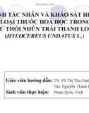 Báo cáo khóa luận tốt nghiệp: Xác định tác nhân và khảo sát hiệu lực một số loại thuốc hoá học trong phòng trừ thối nhũn trái thanh long (Hylocereus Undatus L.)