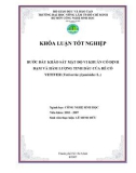 BƢỚC ĐẦU KHẢO SÁT MẬT ĐỘ VI KHUẨN CỐ ĐỊNH ĐẠM VÀ HÀM LƢỢNG TINH DẦU CỦA RỄ CỎ VETIVER (Vetiverria zizanioides L.)