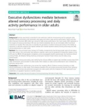 Executive dysfunctions mediate between altered sensory processing and daily activity performance in older adults