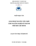 Luận văn Thạc sĩ Kinh tế: Giải pháp nguồn vốn nhỏ cho người nghèo ở thành phố Hồ Chí Minh