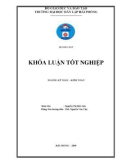 Khóa luận tốt nghiệp Kế toán - Kiểm toán: Hoàn thiện công tác kế toán doanh thu, chi phí và xác định kết quả kinh doanh tại Công ty HNHH Phát triển và Dịch vụ Du lịch Hướng Dương