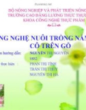 Tiểu luận công nghệ trồng nấm đông cô trên gỗ 