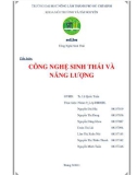 Tiểu luận Công nghệ sinh thái: Công nghệ sinh thái và năng lượng