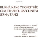 KHẢ NĂNG TƯƠNG THÍCH CỦA ETHANOL GASOLINE VỚI CƠ SỞ HẠ TẦNG