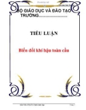 Tiểu luận đề tài biến đổi khí hậu toàn cầu