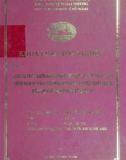 Khóa luận tốt nghiệp: Dịch vụ phát triển kinh doanh và một số giải pháp phát triển dịch vụ phát triển kinh doanh tại Việt Nam trong điều kiện hội nhập kinh tế quốc tế