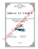 Khóa luận tốt nghiệp: Thực trạng lao động và việc làm của lao động nông thôn huyện Phú Vang, tỉnh Thừa Thiên Huế