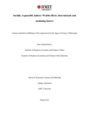 Doctoral thesis of Philosophy: Socially responsible indices: wealth effects, determinants and mediating factors