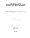 Doctoral thesis of Philosophy: Market-driving innovation: Understanding the critical success factors at the front end of the development process