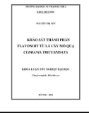 Khóa luận tốt nghiệp đại học: Khảo sát thành phần Flavonoid từ lá cây Mỏ quạ Ccudrania Tricuspidata