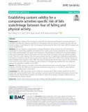 Establishing content validity for a composite activities-specific risk of falls scale: Linkage between fear of falling and physical activity