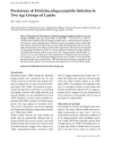 Báo cáo khoa học: Persistence of Ehrlichia phagocytophila Infection in Two Age Groups of Lambs