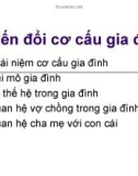 Báo cáo: Biến đổi cơ cấu gia đình