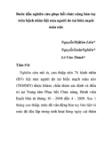 Báo cáo y học: Bước đầu nghiên cứu phục hồi chức năng bàn tay trên bệnh nhân liệt nửa người do tai biên mạch máu não