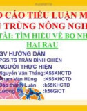 ĐỀ TÀI: TÌM HIỂU VỀ BỌ NHẢY HẠI RAU