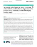 Sarcopenia index based on serum creatinine and cystatin C predicts the risk of postoperative complications following hip fracture surgery in older adults