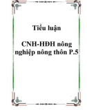 Tiểu luận CNH-HĐH nông nghiệp nông thôn P.5