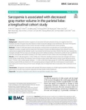 Sarcopenia is associated with decreased gray matter volume in the parietal lobe: A longitudinal cohort study