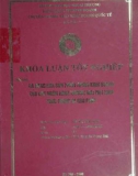 Khóa luận tốt nghiệp: Đa dạng hóa sản phẩm trong kinh doanh của các ngân hàng thương mại Việt Nam - Thực trạng và giải pháp