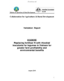 Báo cáo: Replacing fertiliser N with rhizobial inoculants for legumes in Vietnam for greater farm profitability and environmental benefits
