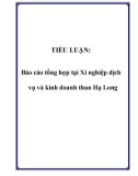 TIỂU LUẬN: Báo cáo tổng hợp tại Xí nghiệp dịch vụ và kinh doanh than Hạ Long