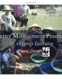 Báo cáo khoa học nông nghiệp Better Management Practices in shrimp farming 