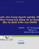 Đề tài Nguồn vốn trong doanh nghiệp. Phân tích thực trạng huy động và sử dụng vốn đầu tư phát triển của DNNN 