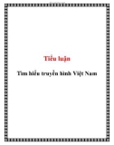 Tiểu luận: Tìm hiểu truyền hình Việt Nam