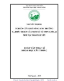 Luận văn Thạc sĩ Khoa học cây trồng: Nghiên cứu khả năng sinh trưởng và phát triển của một số tổ hợp ngô lai mới tại Thái Nguyên