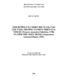 Luận án Tiến sĩ Nuôi trồng thủy sản: Ảnh hưởng của nhiệt độ và CO2 cao lên tăng trưởng và phát triển của tôm sú (Penaeus monodon Fabricius, 1798) và tôm thẻ chân trắng (Litopenaeus vannamei Boone, 1931)