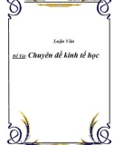 Chuyên đề kinh tế học: Phân tích CPI năm 2007 & năm 2008