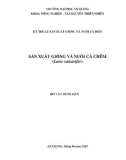 Luận văn Kỹ thuật sản xuất giống và nuôi cá biển: Sản xuất giống và nuôi cá chẽm (Lates calcarifer)