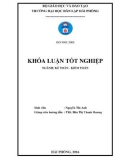 Khóa luận tốt nghiệp Kế toán - Kiểm toán: Hoàn thiện công tác kế toán doanh thu, chi phí và xác định kết quả kinh doanh tại Công ty Cổ phần SIVICO