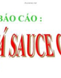 Đề tài CASAUCECA 