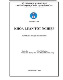 Đồ án tốt nghiệp ngành Kỹ thuật môi trường: Nghiên cứu khả năng hấp phụ của xơ dừa đối với ion Cu2+ trong nước