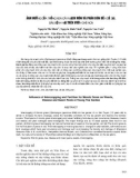 BÁO CÁO ẢNH HƯỞNG CỦA TRỒNG XEN CÂY MẠCH MÔN VÀ PHÂN BÓN ĐẾN CỎ DẠI, SÂU BỆNH HẠI TRÊN VƯỜN CHÈ NON 