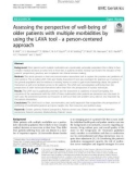 Assessing the perspective of well-being of older patients with multiple morbidities by using the LAVA tool - a person-centered approach