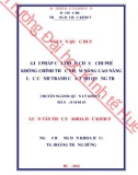 Luận văn Thạc sĩ Khoa học Kinh tế: Giải pháp cải thiện chỉ số chi phí không chính thức nhằm nâng cao năng lực cạnh tranh của tỉnh Quảng Trị