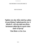 Luận văn Thạc sĩ Sinh học: Nghiên cứu đặc điểm sinh học phân tử gen kháng Cephalosporin của vi khuẩn E. coli sản sinh men Betalactamase phân lập từ người chăn nuôi và lợn tại Thái Bình và Sóc Sơn