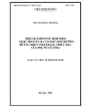 Luận án Tiến sỹ Dinh dưỡng: Hiệu quả bổ sung Hebi mam hoặc bổ sung đa vi chất dinh dưỡng để cải thiện tình trạng thiếu máu của phụ nữ có thai