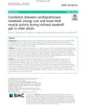 Correlation between cardiopulmonary metabolic energy cost and lower-limb muscle activity during inclined treadmill gait in older adults