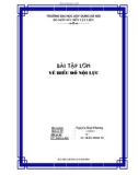 Bài tập lớn: Vẽ biểu đồ nội lực