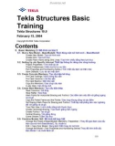 Hướng dẫn sử dụng phần mềm Tekla - Lesson 5: Mô hình cơ bản 2