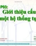 Bài giảng Bảo trì hệ thống điện trong công nghiệp: Phần 3 - Nguyễn Ngọc Phúc Diễm, Trịnh Hoàng Hơn