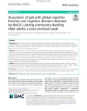 Association of gait with global cognitive function and cognitive domains detected by MoCA-J among community-dwelling older adults: A cross-sectional study