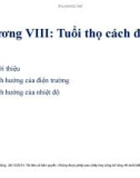 Bài giảng môn Vật liệu điện: Chương 8 - TS. Nguyễn Văn Dũng