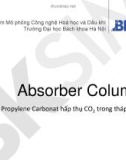 Bài giảng Absorber Column: Propylene Carbonat hấp thụ CO2 trong tháp đệm